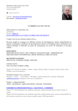 CV - Jean-Louis Calvani