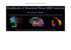 Handbook of structural brain MRI analysis