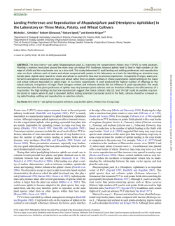 Landing Preference and Reproduction of Rhopalosiphum padi