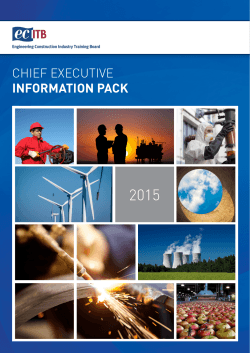 CHIEF EXECUTIVE INFORMATION PACK