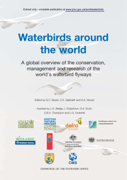Declining waterbirds: problems, processes and sites