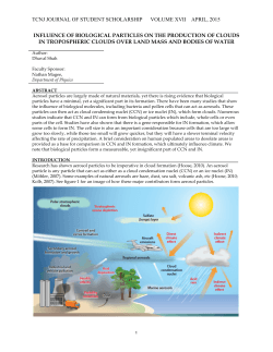 Influence of Biological Particles on the Production of Clouds in