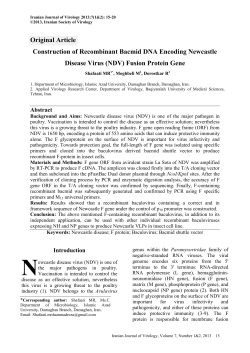 (NDV) Fusion Protein Gene - Iranian Journal of Virology