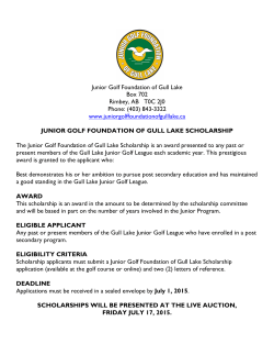 application form - Junior Golf Foundation Of Gull Lake