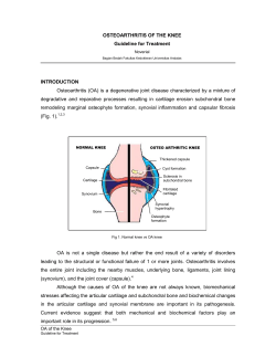 OSTEOARTHRITIS OF THE KNEE Guideline for Treatment