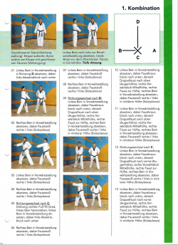 Allkampf-Jitsu Kombinationen 1-3