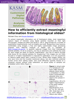 How to efficiently extract meaningful information from histological