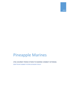 Pineapple Marines - K-BAY Marine Corps Home
