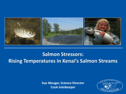 Rising temperatures in Kenai`s salmon streams