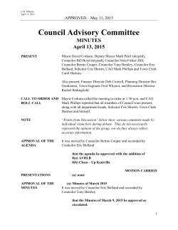 Council Advisory Committee