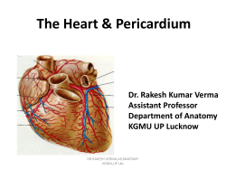 The Heart & Pericardium 2 [PPT]