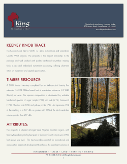 keeney knob tract - King Timberlands Consulting Group