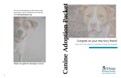 Canine Adoption Packet - Kitsap Humane Society