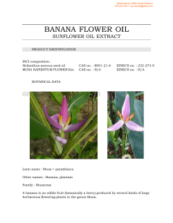 BANANA FLOWER OIL - Prospector Knowledge Center