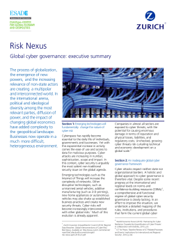 Risk nexus global cyber governance executive summary