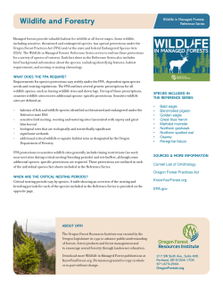 Wildlife in Managed Forests Factsheet: Series Overview