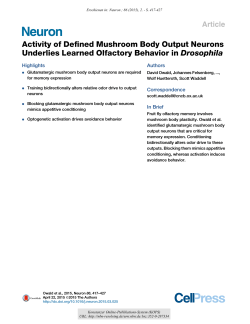 Activity of Defined Mushroom Body Output Neurons