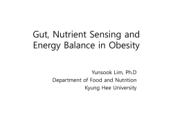 Gut, Nutrient Sensing and Energy Balance in Obesity