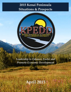2015 KPEDD Situations & Prospects