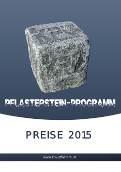 Plasterstein-Programm 2015