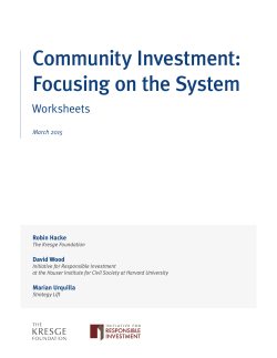 Community Investment: Focusing on the System Worksheets