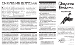 Cheyenne Bottoms Brochure - Kansas Department of Wildlife and