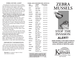 Zebra Mussel Invasion - Kansas Department of Wildlife and Parks