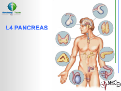 L4- Pancrease