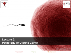 L6-Pathology of Uterine Cervix