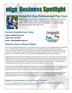 Delightful Dog Professional Play Care