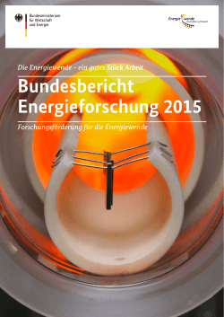Bundesbericht Energieforschung 2015
