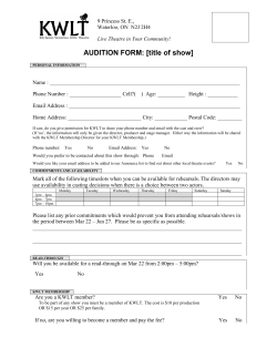 AUDITION FORM: [title of show]