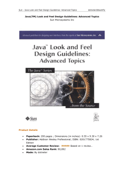 Java(TM) Look and Feel Design Guidelines: Advanced Topics Sun