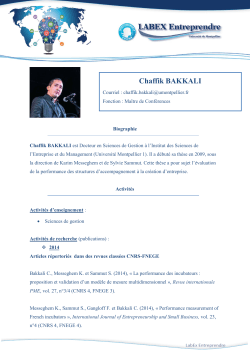 Chaffik BAKKALI - Labex Entreprendre