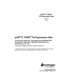 pCR T7 TOPO TA Expression Kits