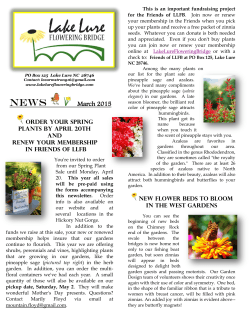 to read the March Lake Lure Flowering Bridge Newsletter