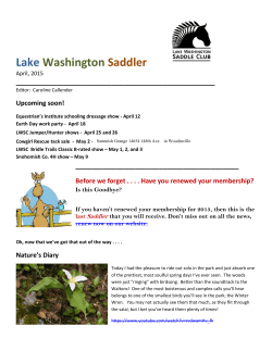 Lake Washington Saddler - Lake Washington Saddle Club