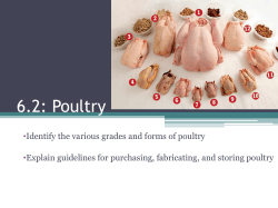 6.2 Poultry