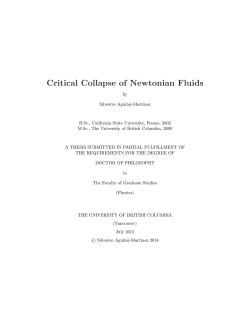 Critical Collapse of Newtonian Fluids