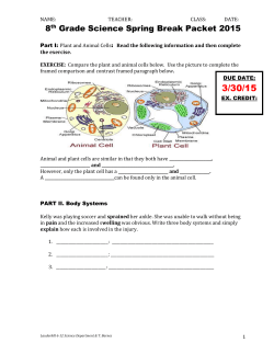 8th Grade Science Spring Break Packet 2015 - Lauderhill 6-12
