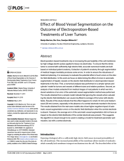 Effect of Blood Vessel Segmentation on the Outcome of