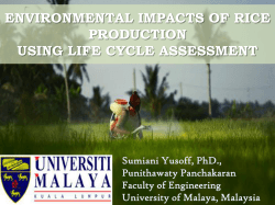 ENVIRONMENTAL IMPACTS OF RICE