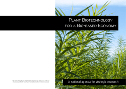 Plant Biotechnology for a Bio-based Economy