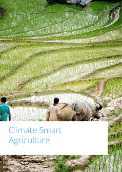 Climate Smart Agriculture - Low Carbon Technology Partnerships