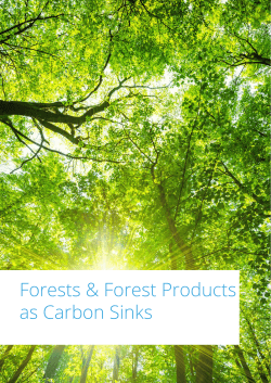 Forests & Forest Products as Carbon Sinks