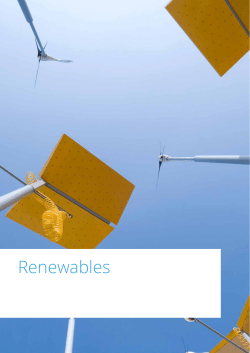 Renewables - Low Carbon Technology Partnerships Initiative