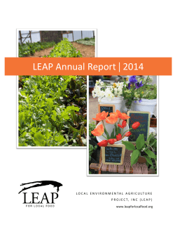 LEAP Annual Report | 2014