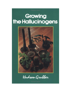 Growing the Hallucinogens â Hudson Grubber