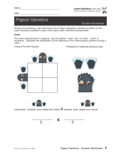 Pigeon Genetics Worksheet - Learn Genetics