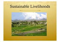 Sustainable livelihoods presentation